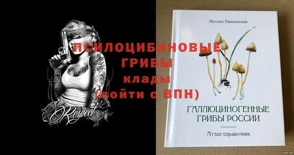 таблы Арсеньев