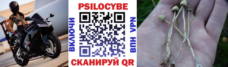 Галлюциногенные грибы ЛСД  Урень 